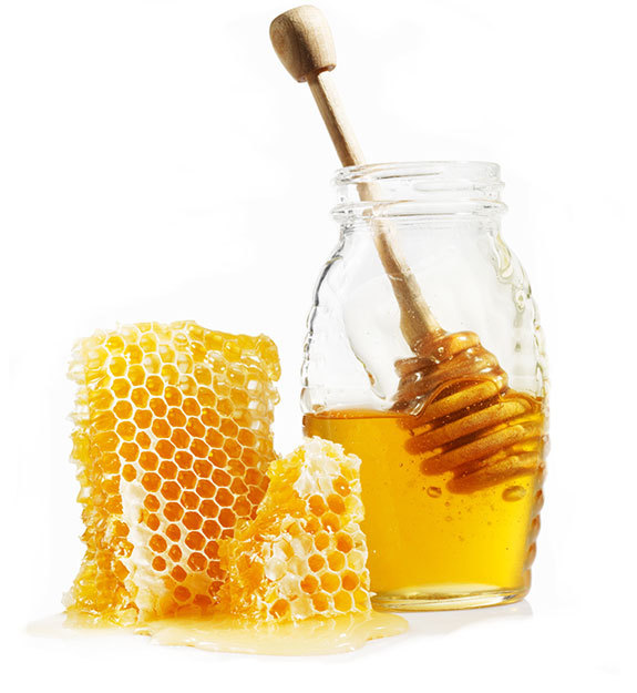 Honey (মধু)